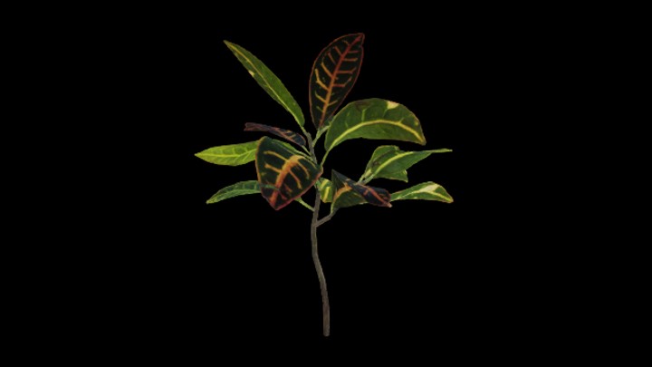 UE项目资源_模型资源_植物881
