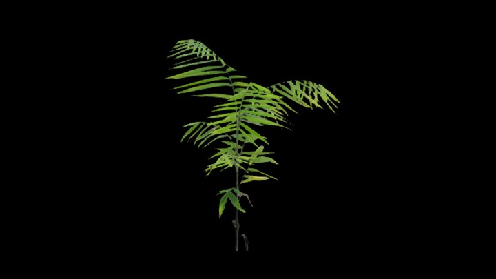 UE项目资源_模型资源_植物888