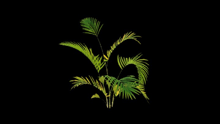 UE项目资源_模型资源_植物894