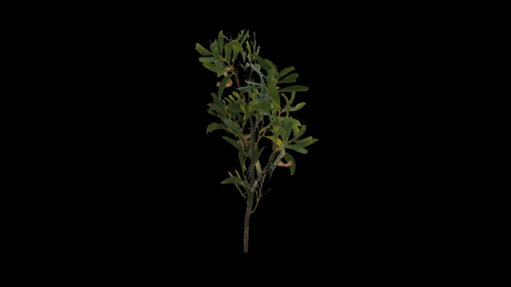 UE项目资源_模型资源_植物914