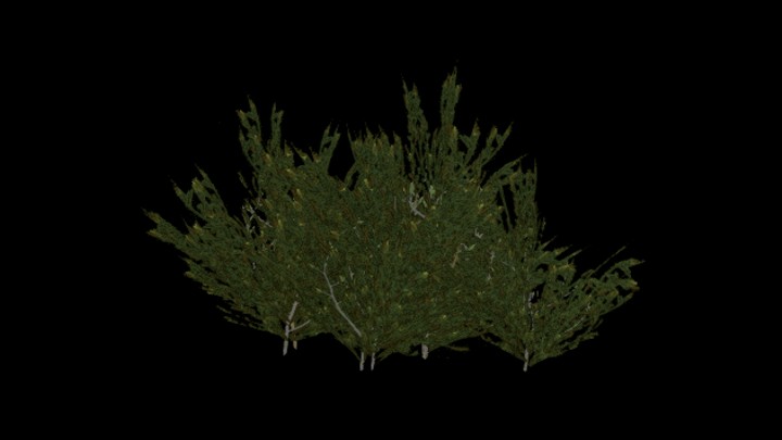 UE项目资源_模型资源_植物960