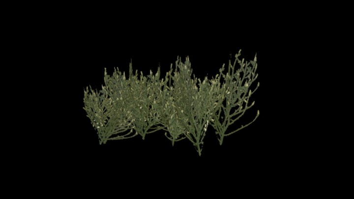 UE项目资源_模型资源_植物963