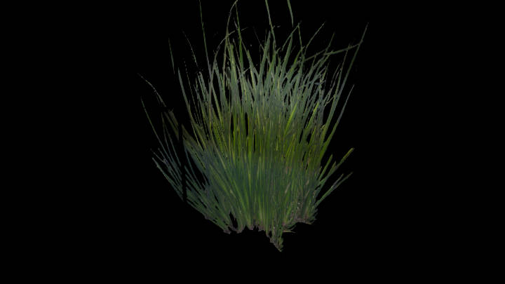 UE项目资源_模型资源_植物974