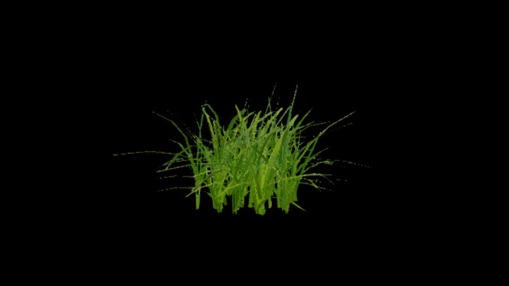 UE项目资源_模型资源_水稻003