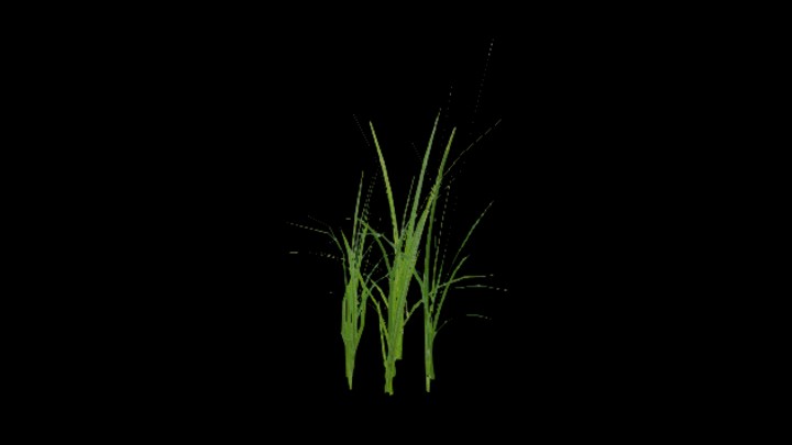 UE项目资源_模型资源_水稻013