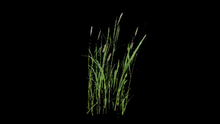 UE项目资源_模型资源_水稻071