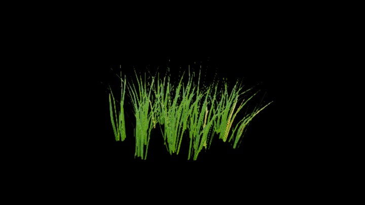 UE项目资源_模型资源_水稻086