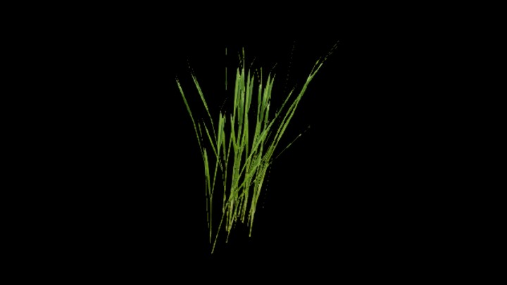 UE项目资源_模型资源_水稻090