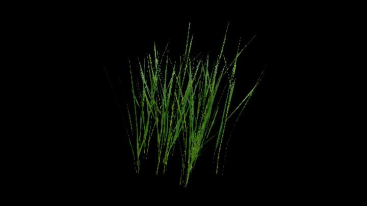 UE项目资源_模型资源_水稻095