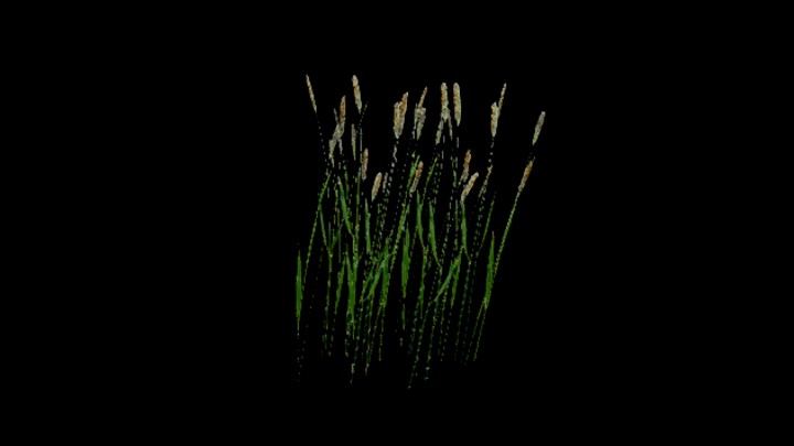 UE项目资源_模型资源_水稻102