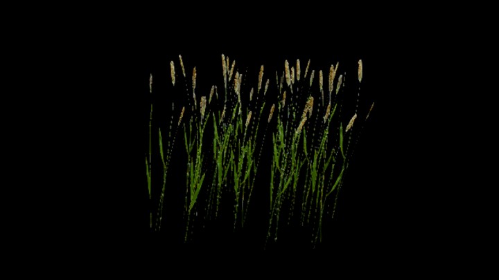 UE项目资源_模型资源_水稻103