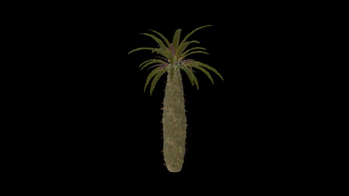 UE项目资源_模型资源_沙漠植物021