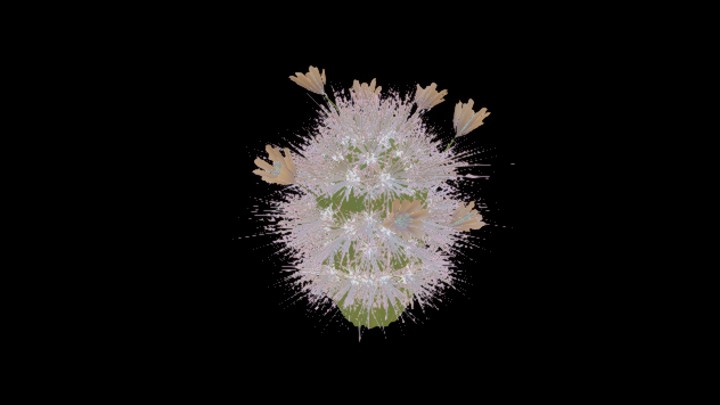 UE项目资源_模型资源_沙漠植物028