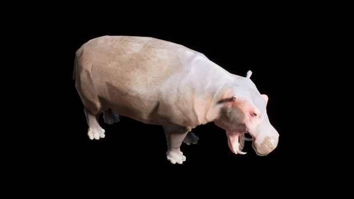 UE项目资源_模型资源_河马001