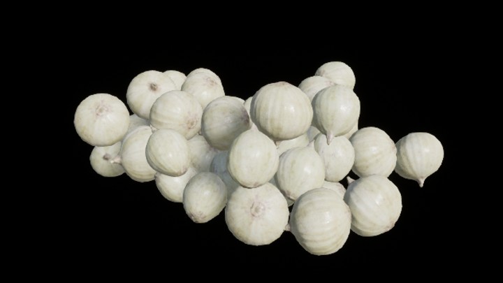 UE项目资源_模型资源_洋葱015