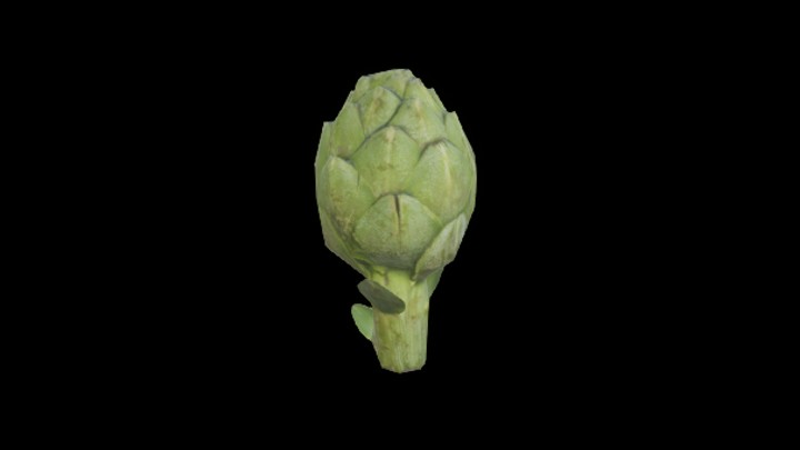 UE项目资源_模型资源_洋蓟001