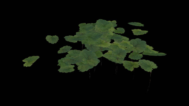 UE项目资源_模型资源_浮萍007