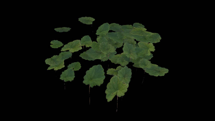 UE项目资源_模型资源_浮萍008