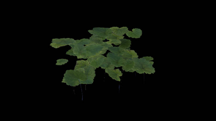 UE项目资源_模型资源_浮萍011