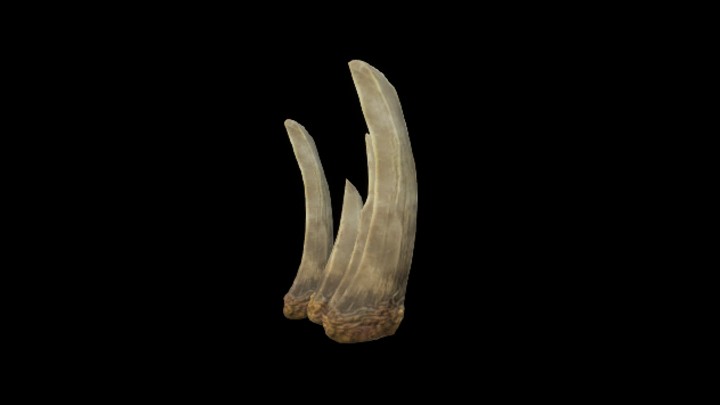 UE项目资源_模型资源_海洋生物004