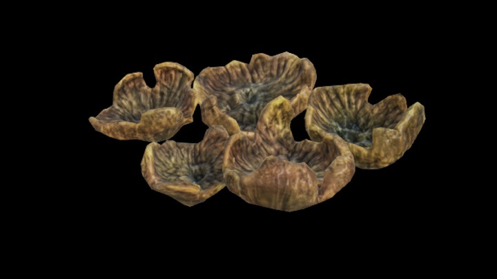 UE项目资源_模型资源_海洋生物014