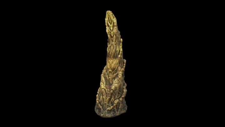 UE项目资源_模型资源_海洋生物021