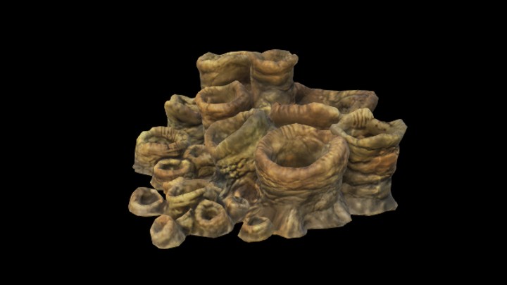 UE项目资源_模型资源_海洋生物027