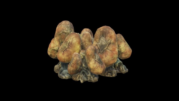 UE项目资源_模型资源_海洋生物042