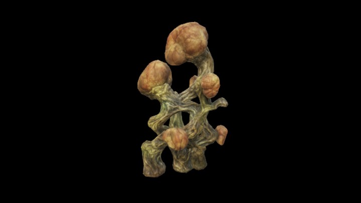 UE项目资源_模型资源_海洋生物043