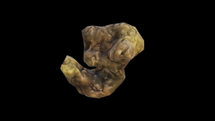 UE项目资源_模型资源_海洋生物057