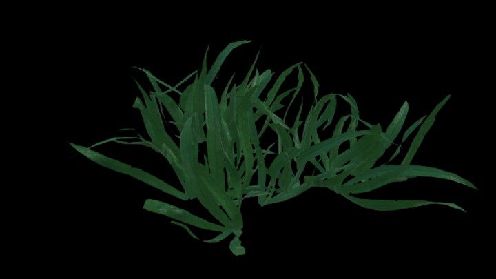 UE项目资源_模型资源_海草014