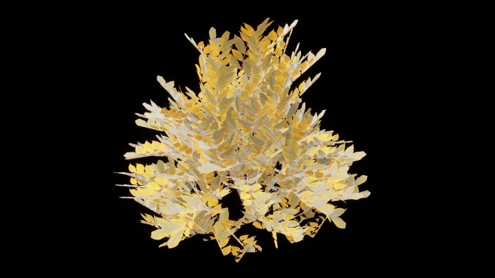 UE项目资源_模型资源_灌木052