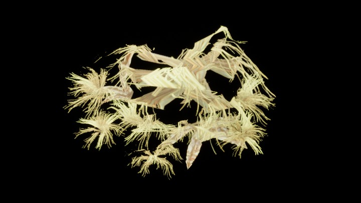 UE项目资源_模型资源_灌木055