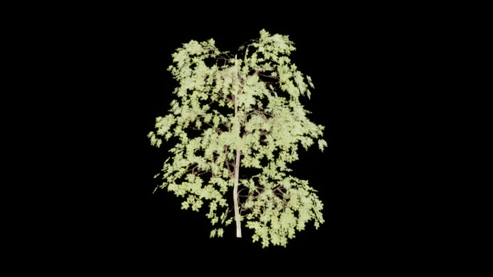 UE项目资源_模型资源_灌木060