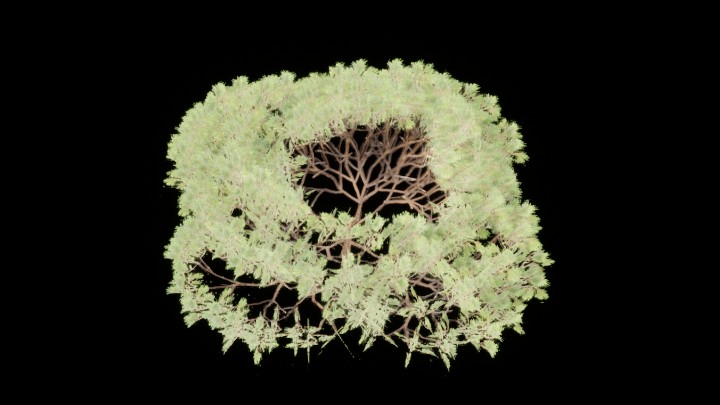 UE项目资源_模型资源_灌木065