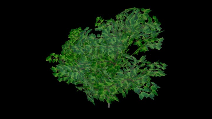 UE项目资源_模型资源_灌木072