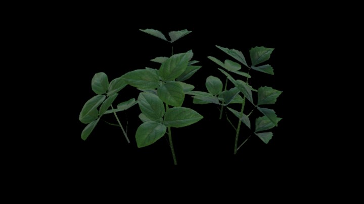 UE项目资源_模型资源_灌木080