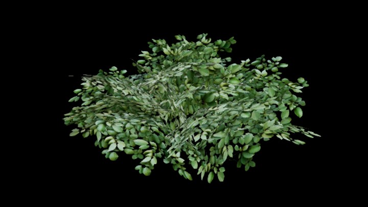 UE项目资源_模型资源_灌木082