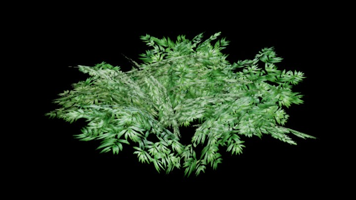 UE项目资源_模型资源_灌木083