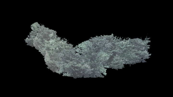 UE项目资源_模型资源_灌木088