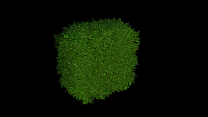 UE项目资源_模型资源_灌木089