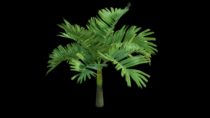 UE项目资源_模型资源_热带树005