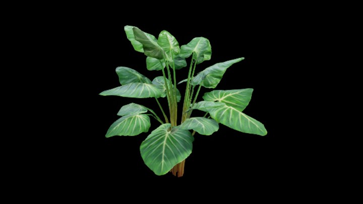 UE项目资源_模型资源_热带树014