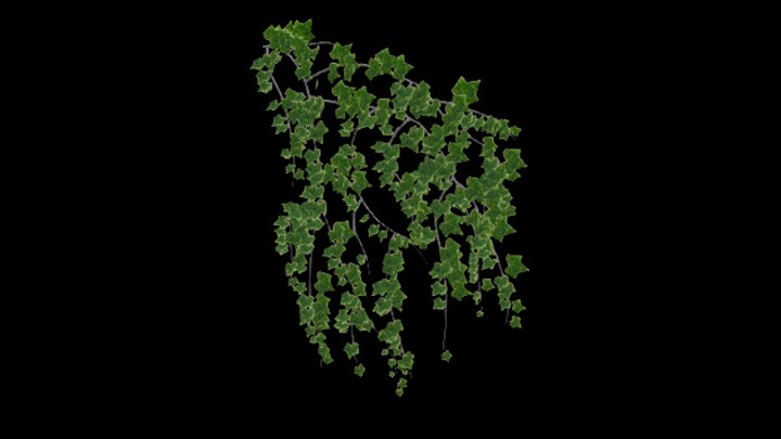 UE项目资源_模型资源_爬藤011