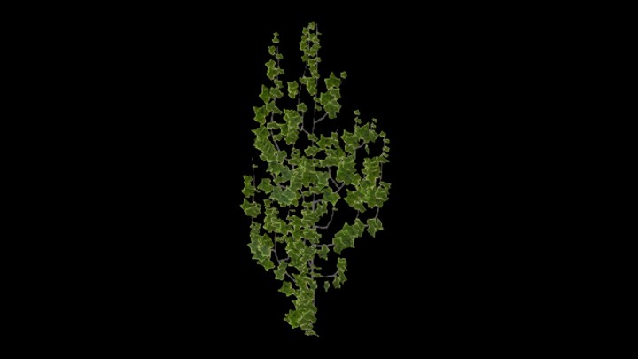 UE项目资源_模型资源_爬藤016