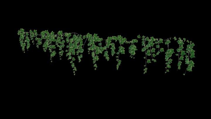 UE项目资源_模型资源_爬藤018