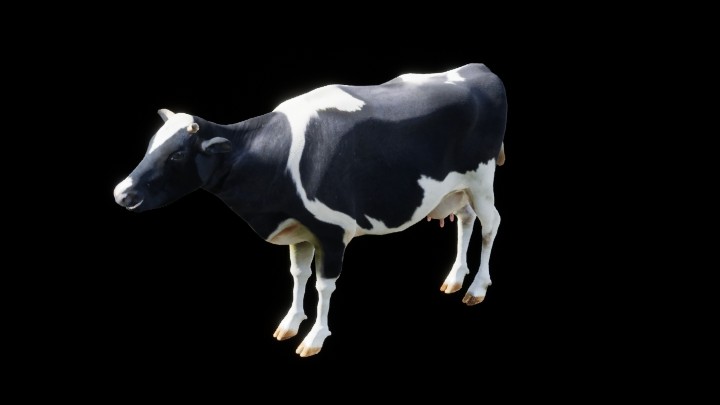 UE项目资源_模型资源_牛002