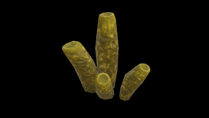 UE项目资源_模型资源_珊瑚059