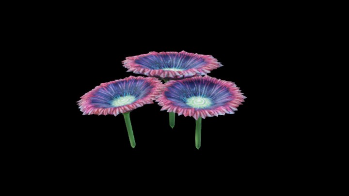 UE项目资源_模型资源_珊瑚078