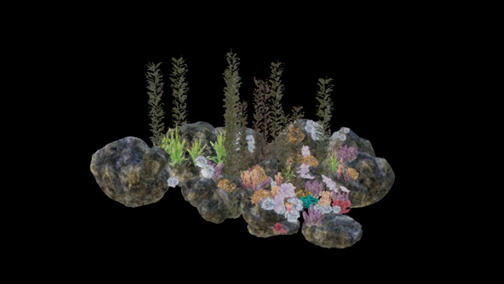 UE项目资源_模型资源_珊瑚105